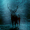 northern: The ravenstag from Hannibal (Ravenstag)