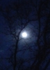 nbwerewolflover: (Full Moon)