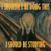 terminally_underwhelmed: A closeup on the face of Edvard Munch's "The Scream." Orange text along the top and bottom reads "I shouldn't be doing this, I should be studying." (finals)