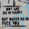 ineptshieldmaid: Not gay as in happy but queer as in fuck you (queer as in fuck you)