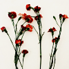 livehouse: (pic#12777160)