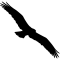 sahviere: Shadow-board osprey (Default)
