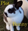 Auresse: Plot Bunny
