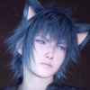 somnoctis: (kitty!Noct)