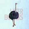not_a_bird: (bird - later boners)