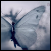 elsane: greyscale butterfly from NiF intro (nif butterfly)