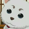 mountaingorilla: big big pupper (Sadaharu)