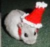 hamsterwoman: (hamster -- holiday hat)