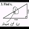 hamsterwoman: (find x)
