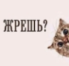 stringbasso: (жрёшь? 2)