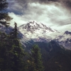 dzkat: (winter mt)
