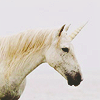 queenhera: (Misc - unicorn white)