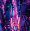 countessofsnark: (urban jungle)