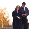 stellar_dust: (XF - mulder & scully in the fall)