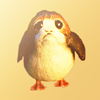 colls: (SW Porg)
