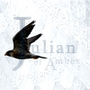 grayswandir: A falcon on a white field, with the text "Julian of Amber." (Amber: Julian)
