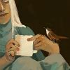 syntheid: Anadh with a canyon wren and a cup of tea (wren(ish))
