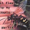 amilyn: I have never before or since jerked my pants all the way off in public. (wasp)