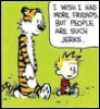 fionaniconnor: (Calvin & Hobbes/jerks)