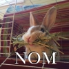 slipjig3: (nom)