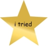 ljwrites: A variation of the gold star meme with "I tried" on the star (gold star)