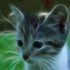 pufik_s_lapkami: (фрактальный кот)