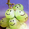 kacts: (grapes)