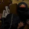 newtralize: (Niffler)