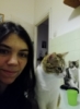 arkytiorforeman: (cats)