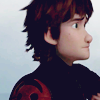 dragon_rider: (hiccup1084)