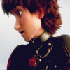 dragon_rider: (hiccup161)