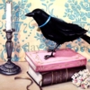 chronicwriter: (raven)