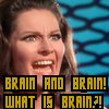 j00j: star trek: brain, what is brain? (brain)