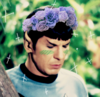 thesadchicken: flowercrownz5ever (Default)