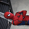 hashtagparkerluck: (relaxing spider)