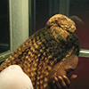 numberthree: (☂ 00.130)