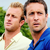 kapuahi: (H50 - McDanno Animal Planet)