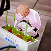 girlybruiser: (makoto really hates ringworm)