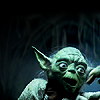 nyctanthes: (yoda)