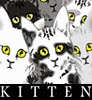 viridian5: (Kitten (Mew))