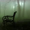 fullupwithfire: a park bench in the middle of a foggy, dim green wooded area (pic | i think i see a glimmer)