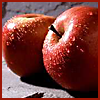 elke_tanzer: apples (apples)