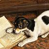 moth2fic: puppy worrying a book (reading_puppy)