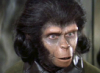 athaia: Dr. Zira from the original Planet of the Apes movie (Dr. Zira)