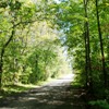 skust_atast: Dirt path sided by trees at Finger Lakes National Forest (Path and trees)