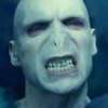 wand_wavers: (voldemort)
