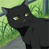 flashcat: I mean you act like I'm some kind of cat....Oh wait ([cat] Why are you following?)