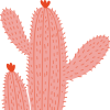 spacefridges: (cactus)