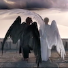 enigel: Aziraphale shielding Crawly under his wing ([Firefly] [River] stars)