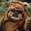 young_womble: (mardi gras ewok)